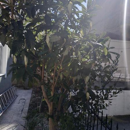 Agelikis' Apartments Nea Kallikrateia Dış mekan fotoğraf