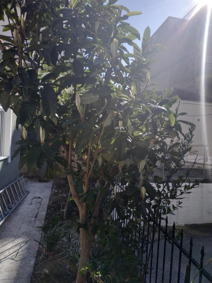 Agelikis' Apartments Nea Kallikrateia Dış mekan fotoğraf